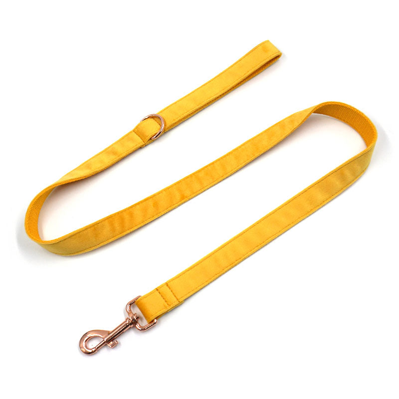 cute dog leash ginger velvet