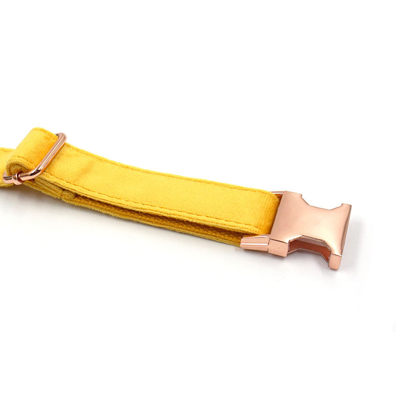 heavy duty dog collar ginger velvet