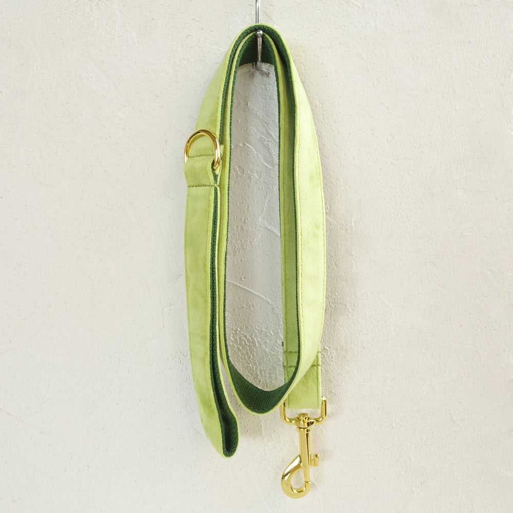 cute dog leash mint green