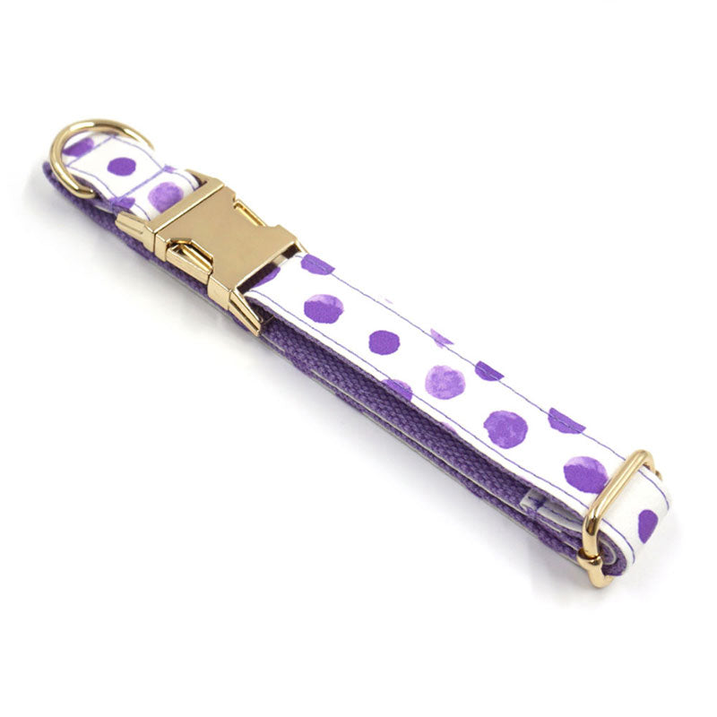 heavy duty dog collar purple