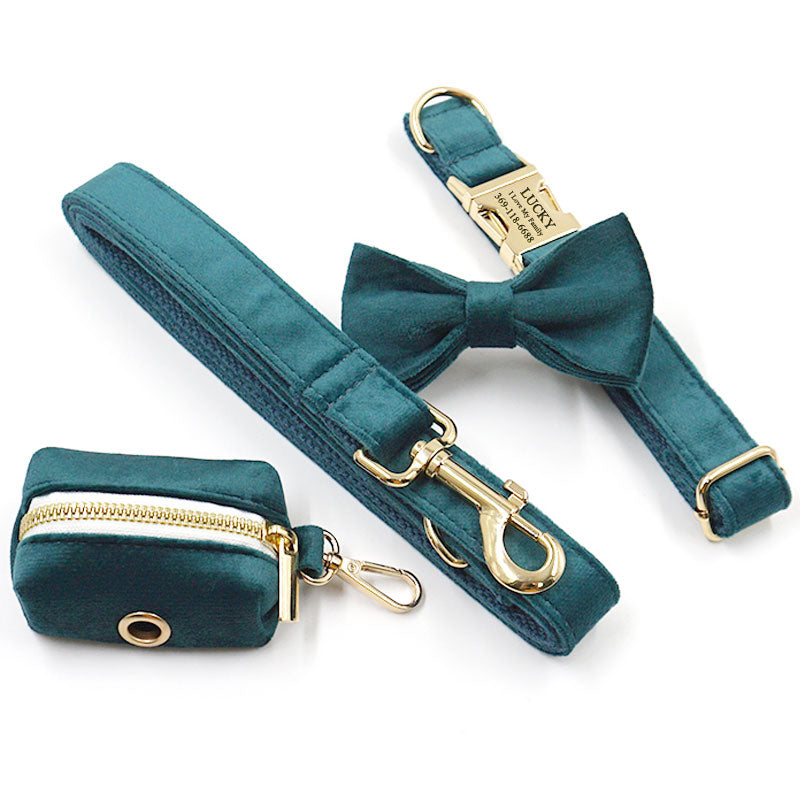 dog leash with collar set
