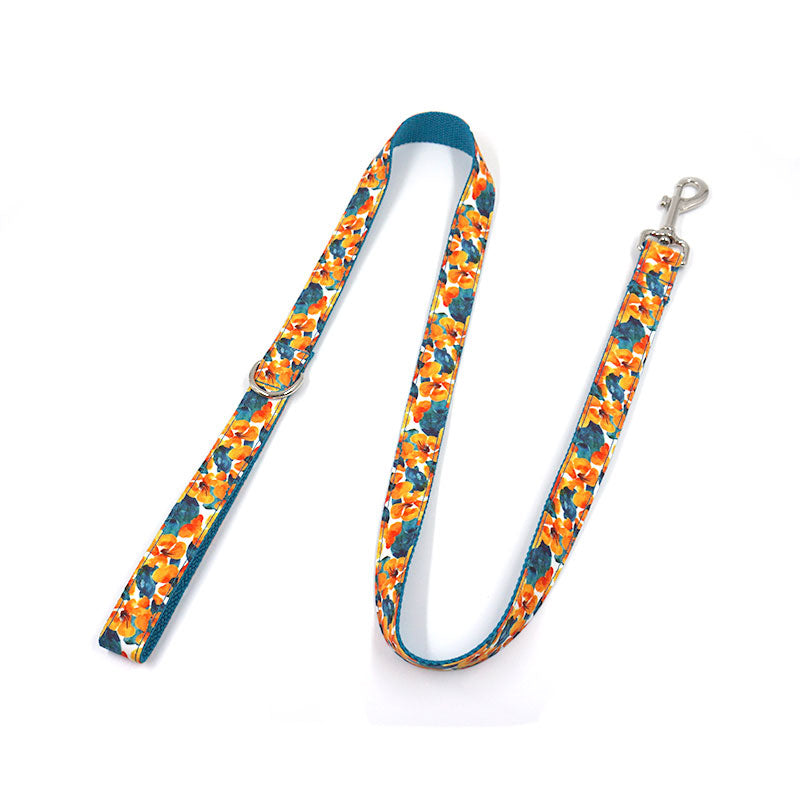 petduro dog leash