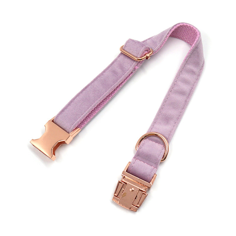 fancy dog collar purple velvet rose gold buckle