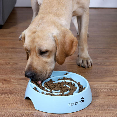 PETDURO Dog Bowl Slow Feeder Maze Puzzle Food Bowls for Fast