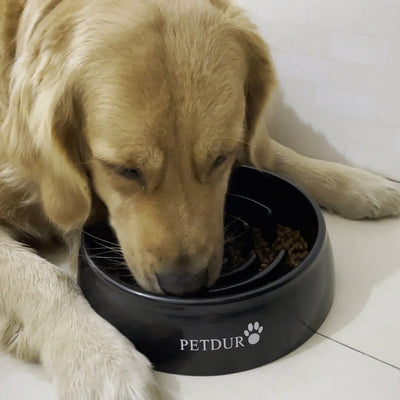 https://cdn.shopify.com/s/files/1/0065/3629/8594/products/Slow-Feeder-Dog-Bowls-Heavy-Duty_400x400.jpg?v=1615623946