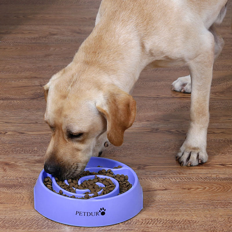 Slow Feeder Dog Bowls Slow Feeding Dog Bowl Small Medium Breed Dog Food  Bowls Slow Feed Dog Bowl Slow Eating Dog Slow Feeder Bowl Puppy Dog Puzzle Slow  Feeder Eater Bowl Lick