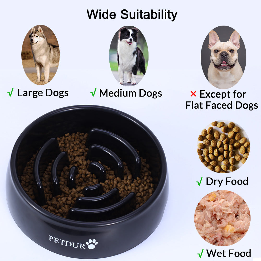 benefits of a slow feeder dog bowl