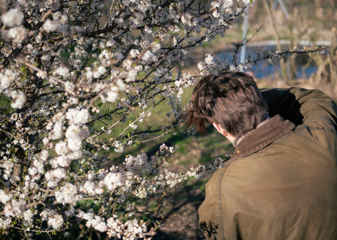 Team pars Pralinen beim Blüten pflücken im Berliner Umland