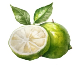 Bergamot