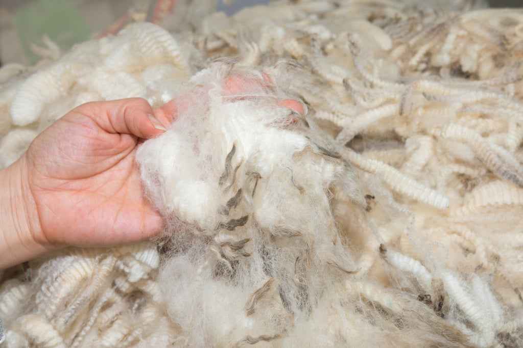 woman holding merino wool material in his hands