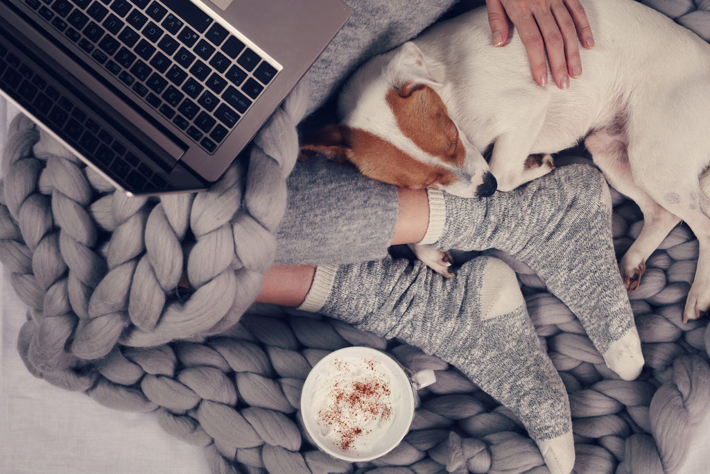 woman laying down next to her dog and laptop enjoying merino wool