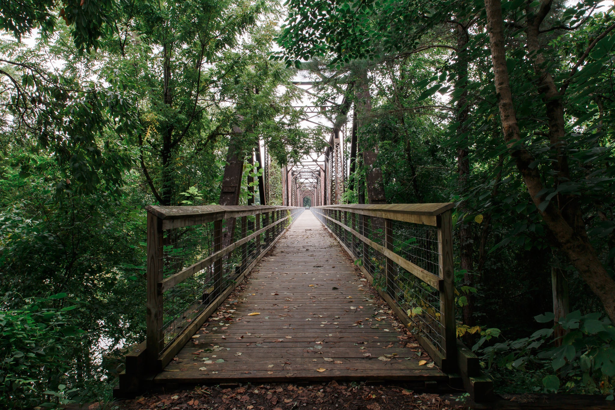 a bridge surrounded by trees in The Palmetto Trail, South Carolina