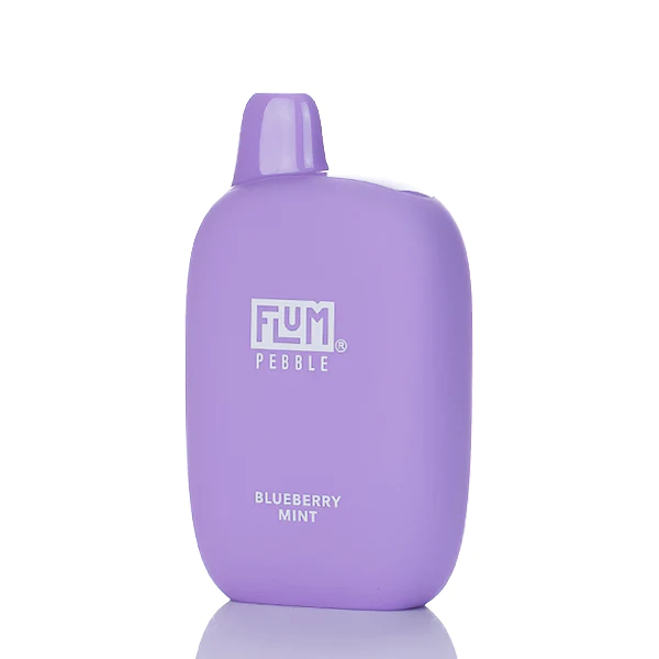 Flum-Pebble-6000-Puffs-Disposable-Vape-blueberry-mint