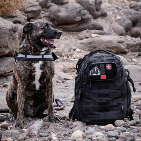 Look at What's Inside a K9 IFAK Pouch – 14er Tactical