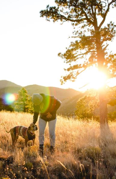 Take on dog-friendly trails with your canine companion! Our guide will help you prepare to hike together.