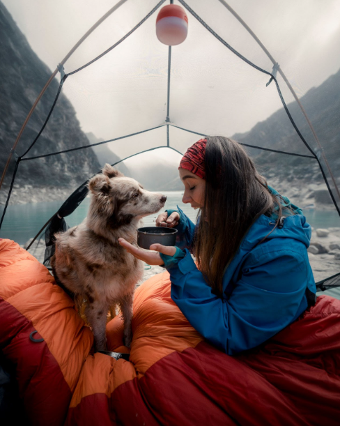 Prepare your dog for the hike by emphasizing obedience training. The dog needs to respond well to your commands to help you ensure its safety in the wilderness.