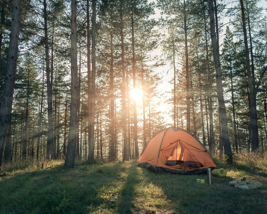 Springtime is a great season for a camping trip. These light packing tips will help you in planning for it!