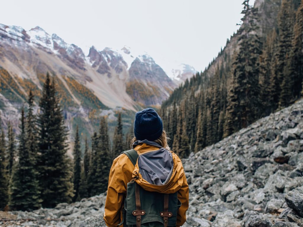 Learning how to read the environment can help you stay oriented and prepare you for wildlife encounters