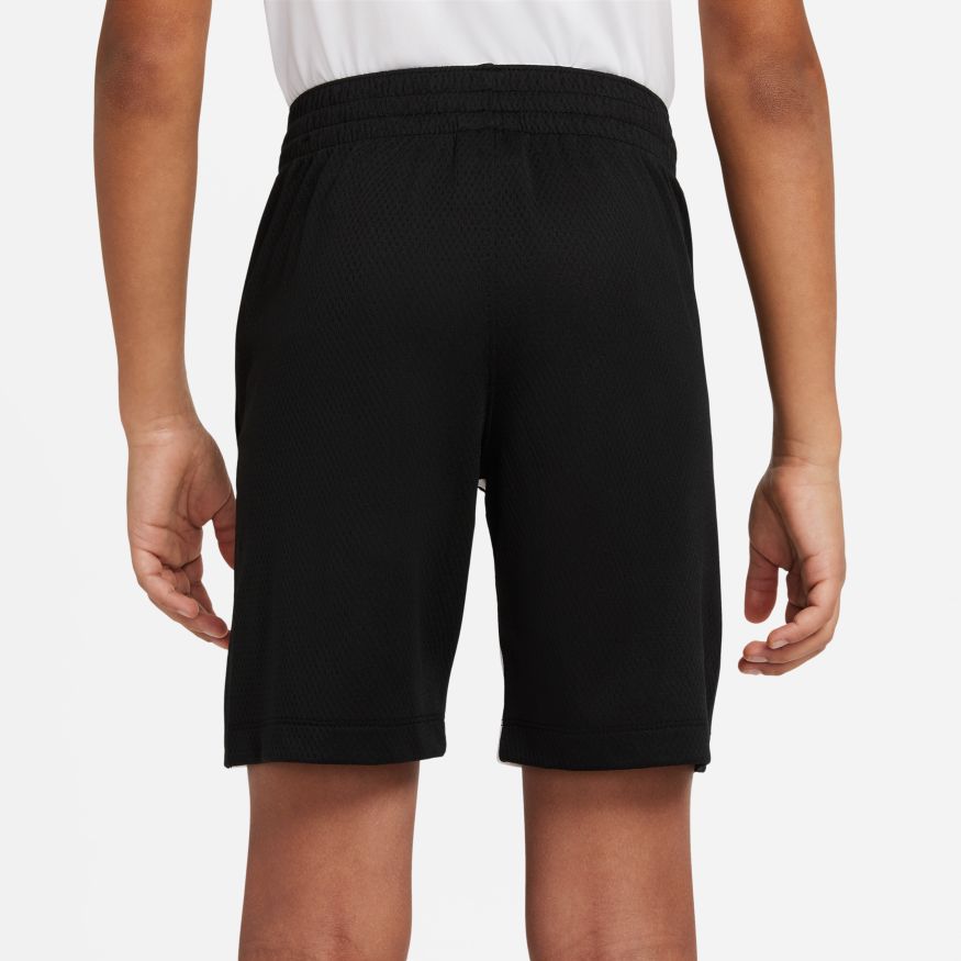 Nike Dri-FIT Trophy Shorts - 939655 – The Sports Center