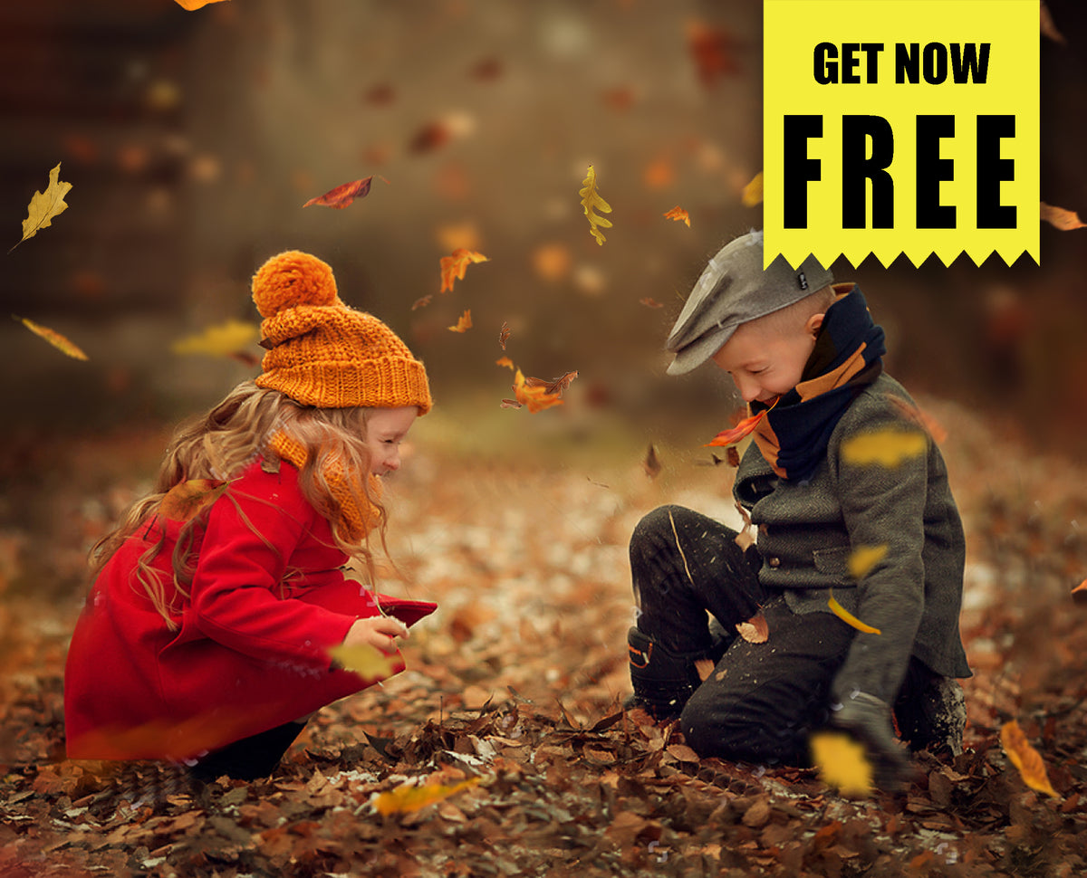 FREE autumn falling leaves Photo Overlays, Photoshop overlay – MR.Overlay
