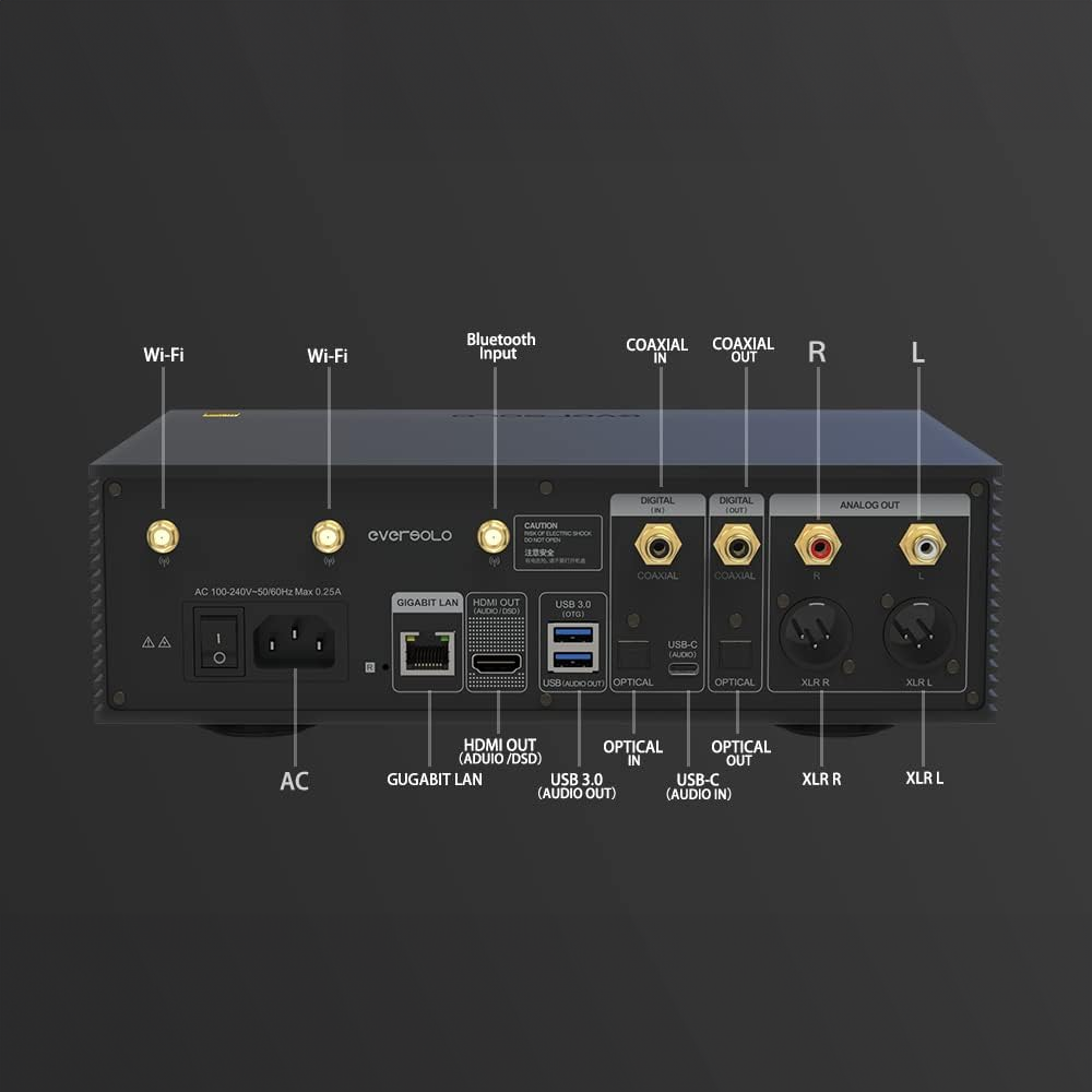 Eversolo DMP-A6 DAC/Amp Network Streamer Inputs and Outputs