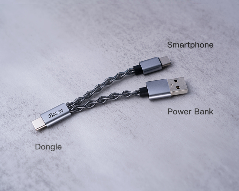 Connections on the iBasso CB19 USB-C to USB-C Cable for Dongles with USB-A for Dedicated Power