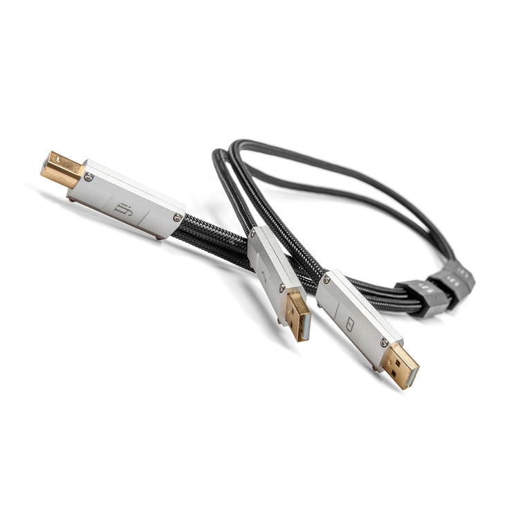 iFi Gemini Dual-Headed USB-A to USB-B Cable
