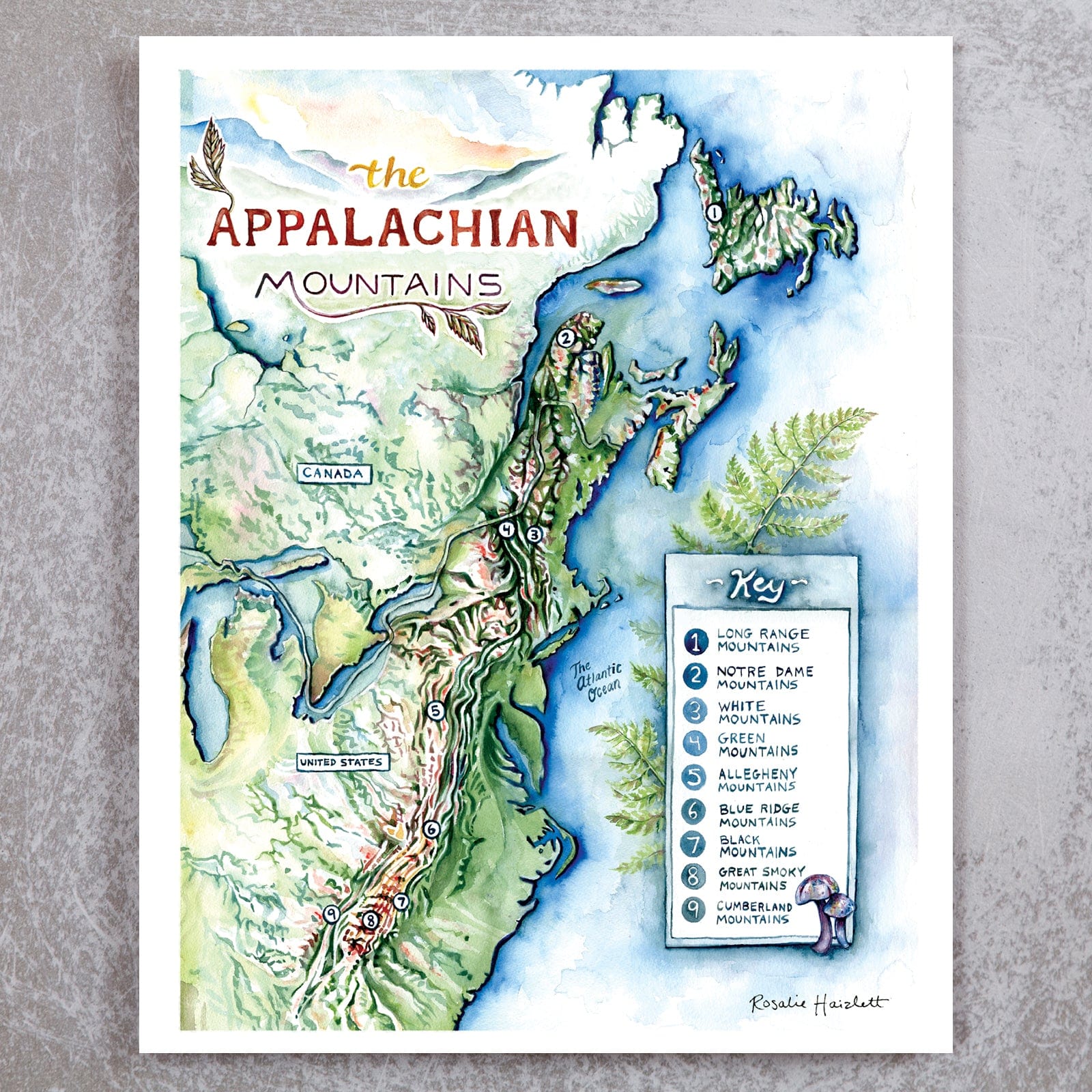 appalachian mountains pictures        
        <figure class=