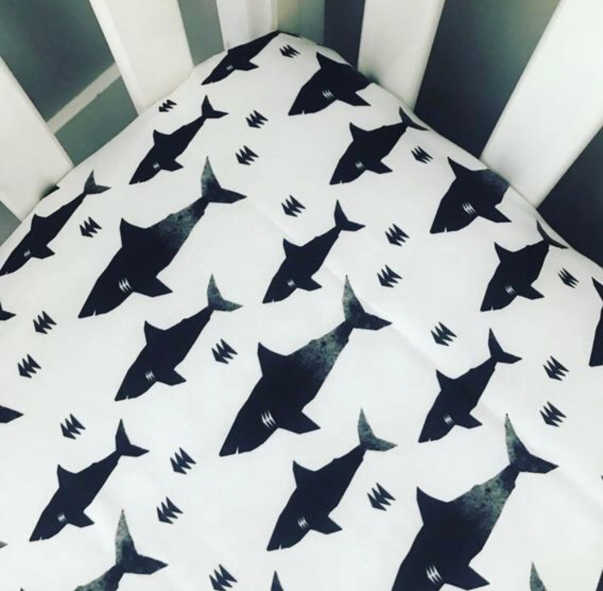 shark crib sheets