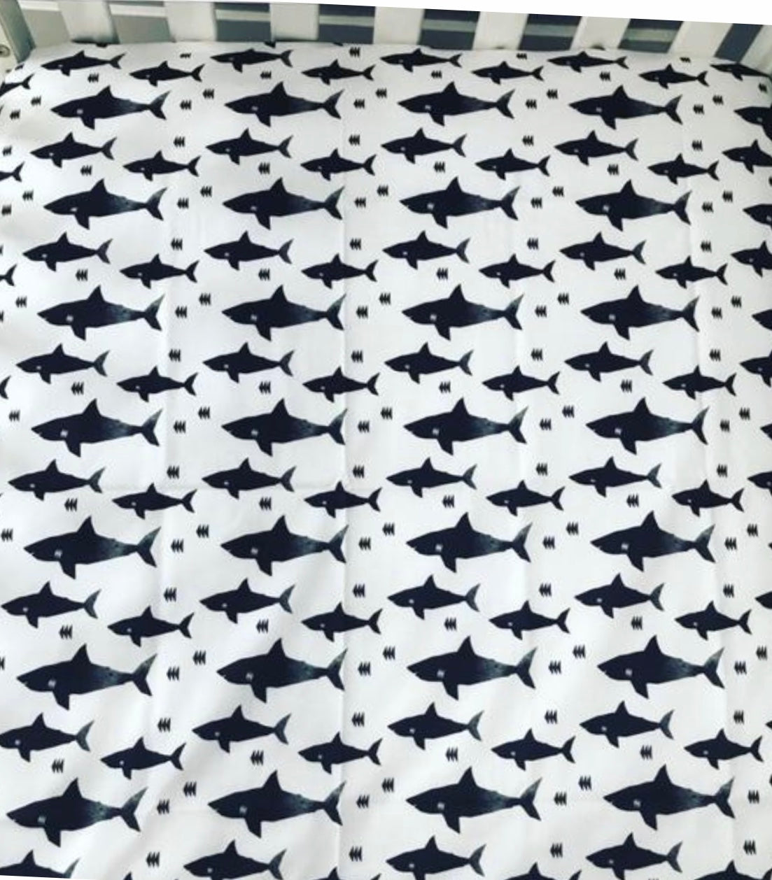 shark crib fitted sheet