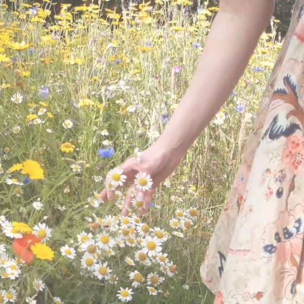 Walking amongst the flowers