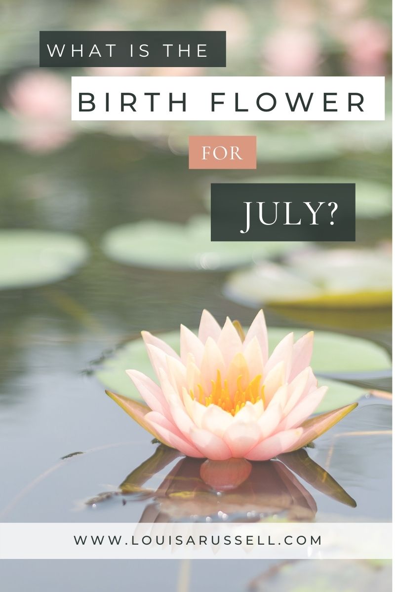 July Birthflower