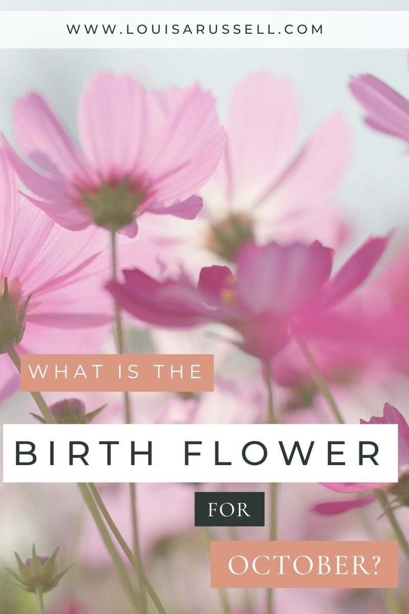 October Birth Flower