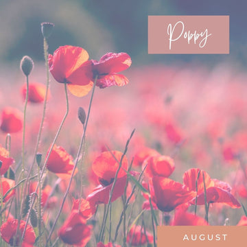 August Birth Flower Poppy