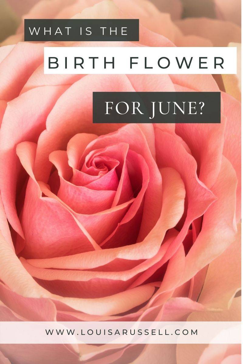 June Birthflower
