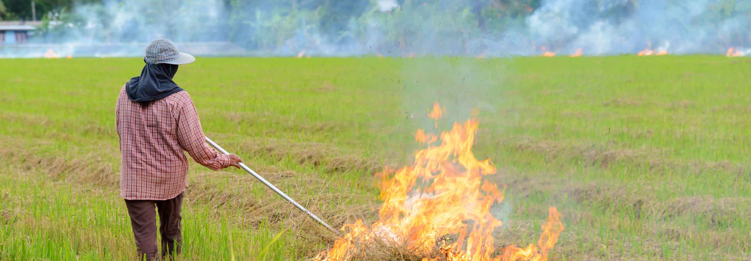 Crops are being burnt near Aliağa. Protect yourself from smoke and follow health recommendations. Click here.