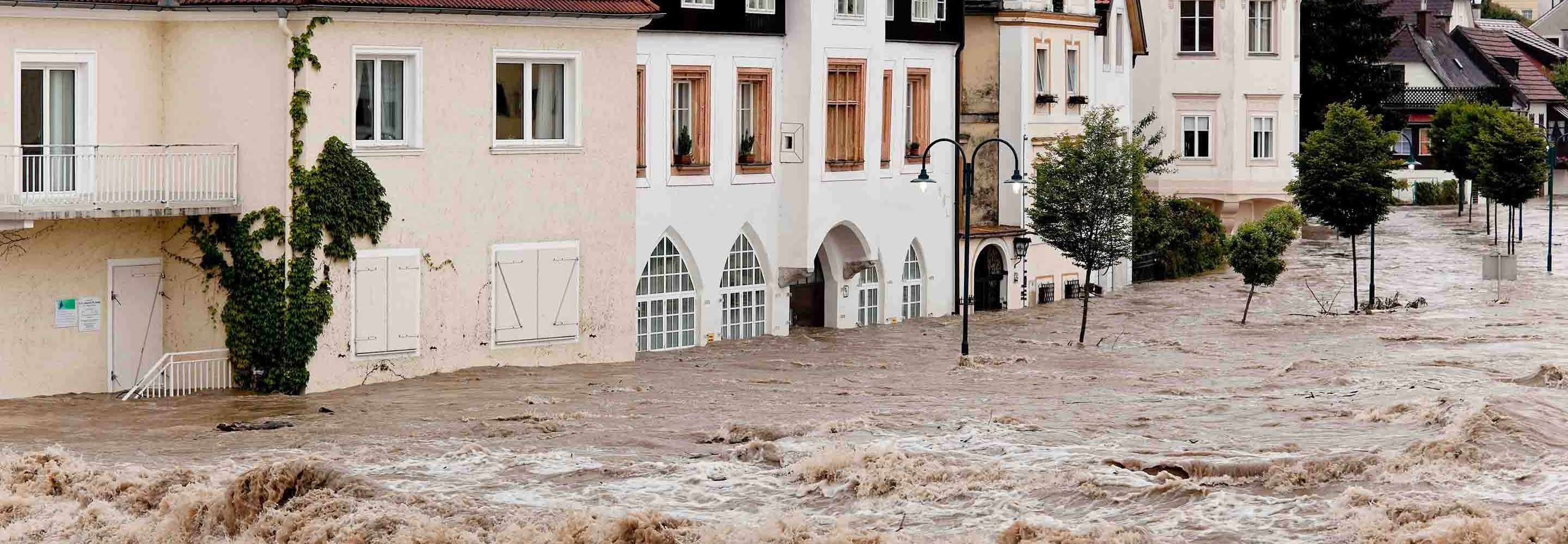 There is flooding in Ludwigshafen. Protect yourself from mold and follow health recommendations. Click here.