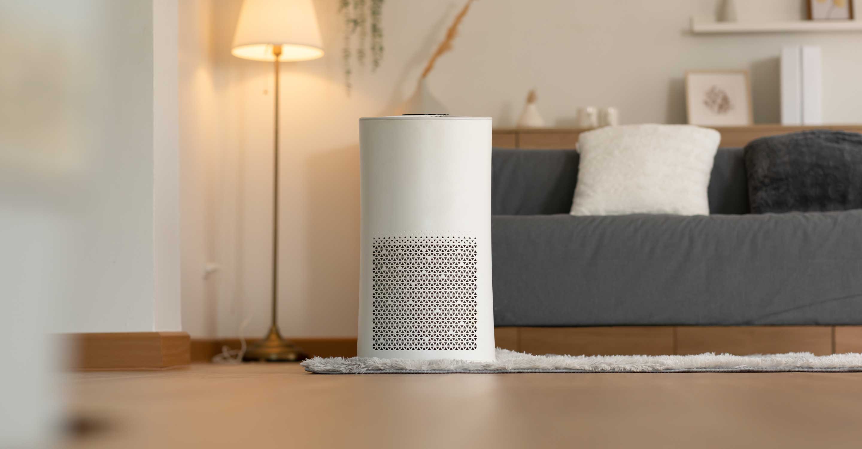 Ionizer Air Purifiers: What Is It and How Does It Work? - Molekule