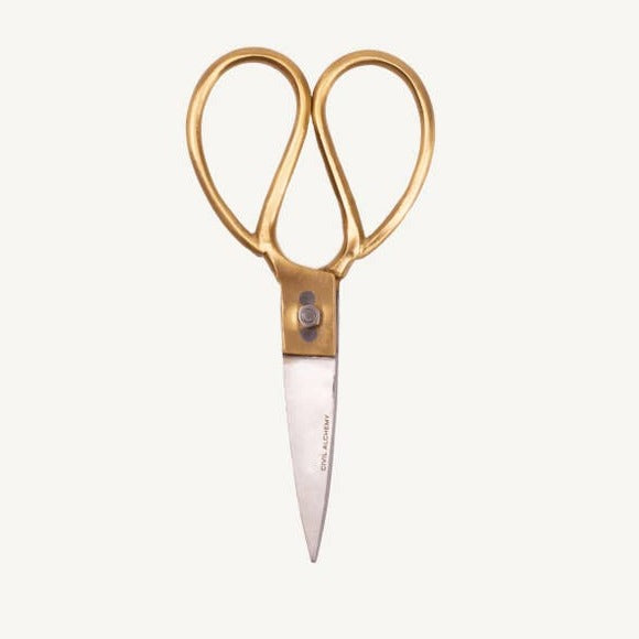 Useful Tiny Scissors Brass and Stainless Steel