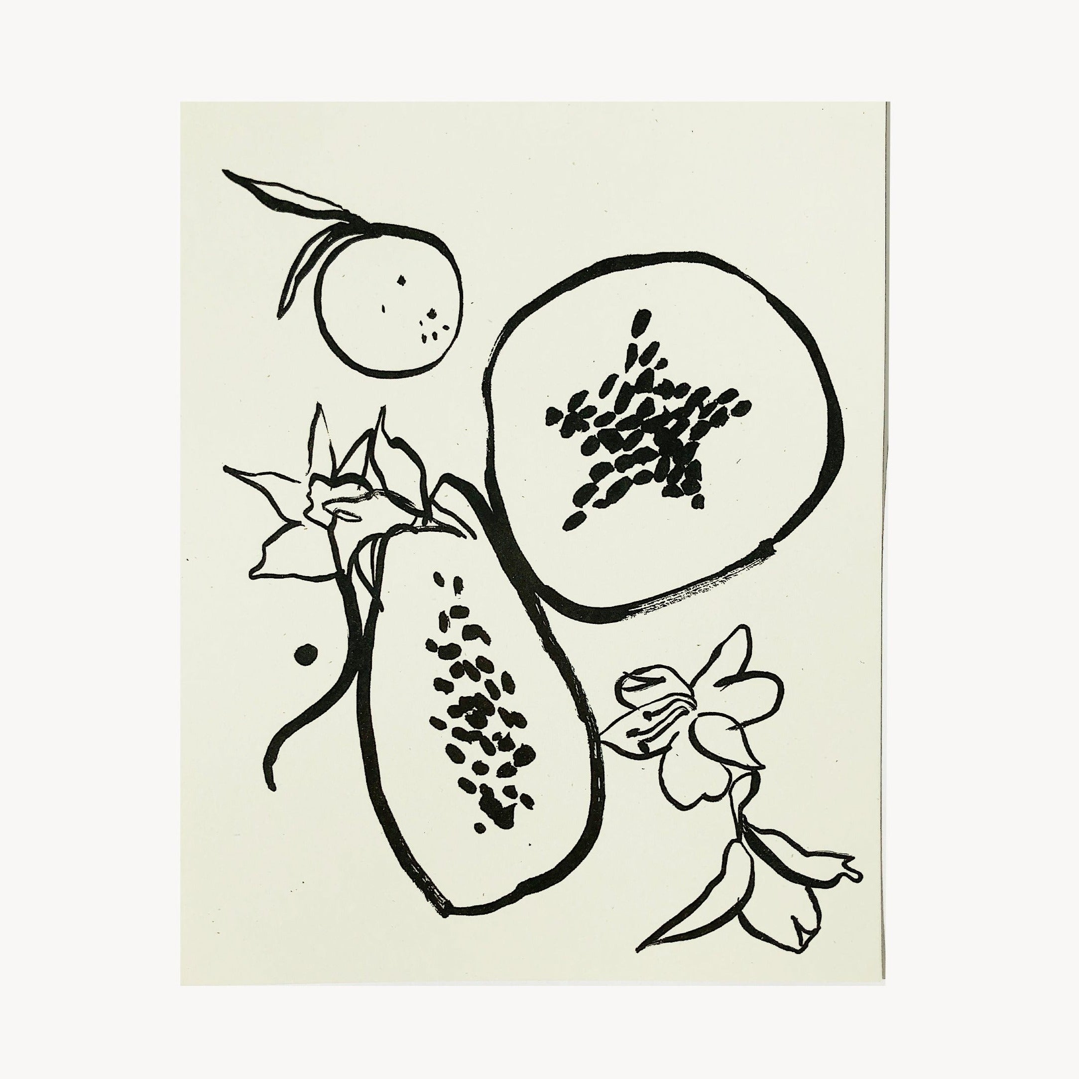 Les Fruits Sketch Art Print