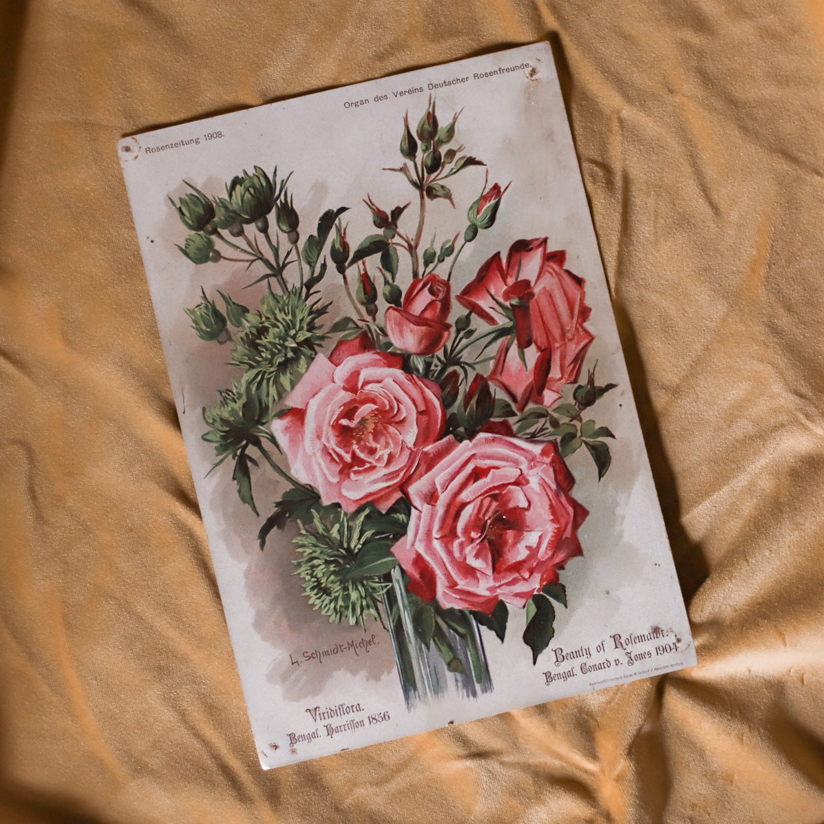 Antique German Rose Art Prints