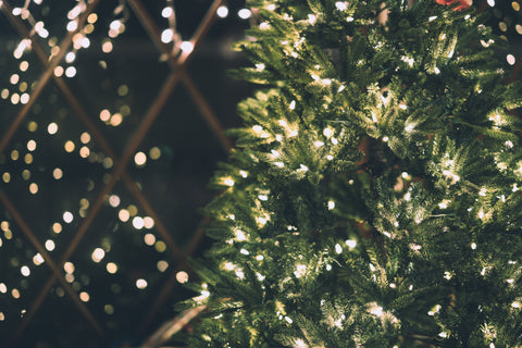 Lit Christmas tree and window reflection