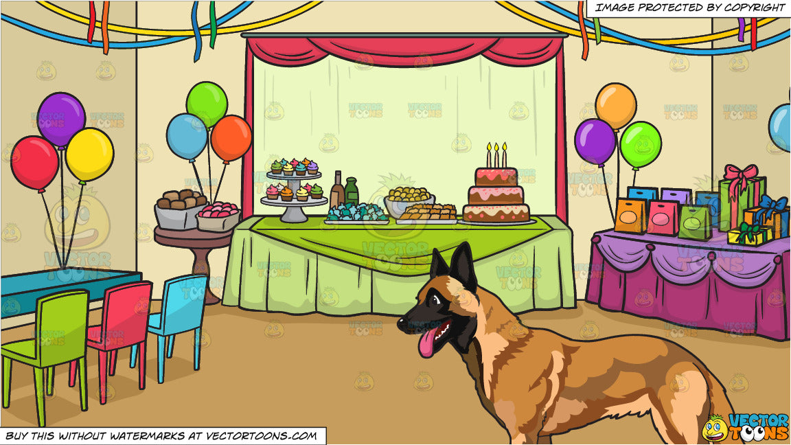 happy birthday belgian malinois