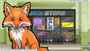 fox bike shop