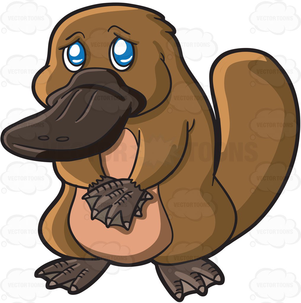 platypus cartoon