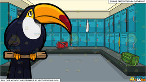 A Toucan And A Locker Room At A Gym Background