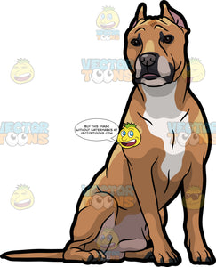 Download A Strong American Staffordshire Terrier Pet Dog Clipart Cartoons By Vectortoons