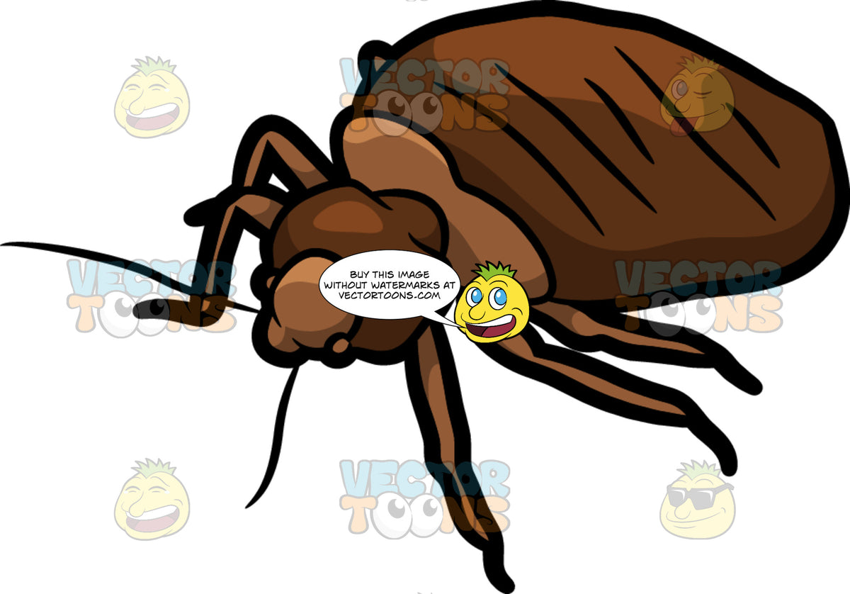 A House Bed Bug – Clipart Cartoons By VectorToons