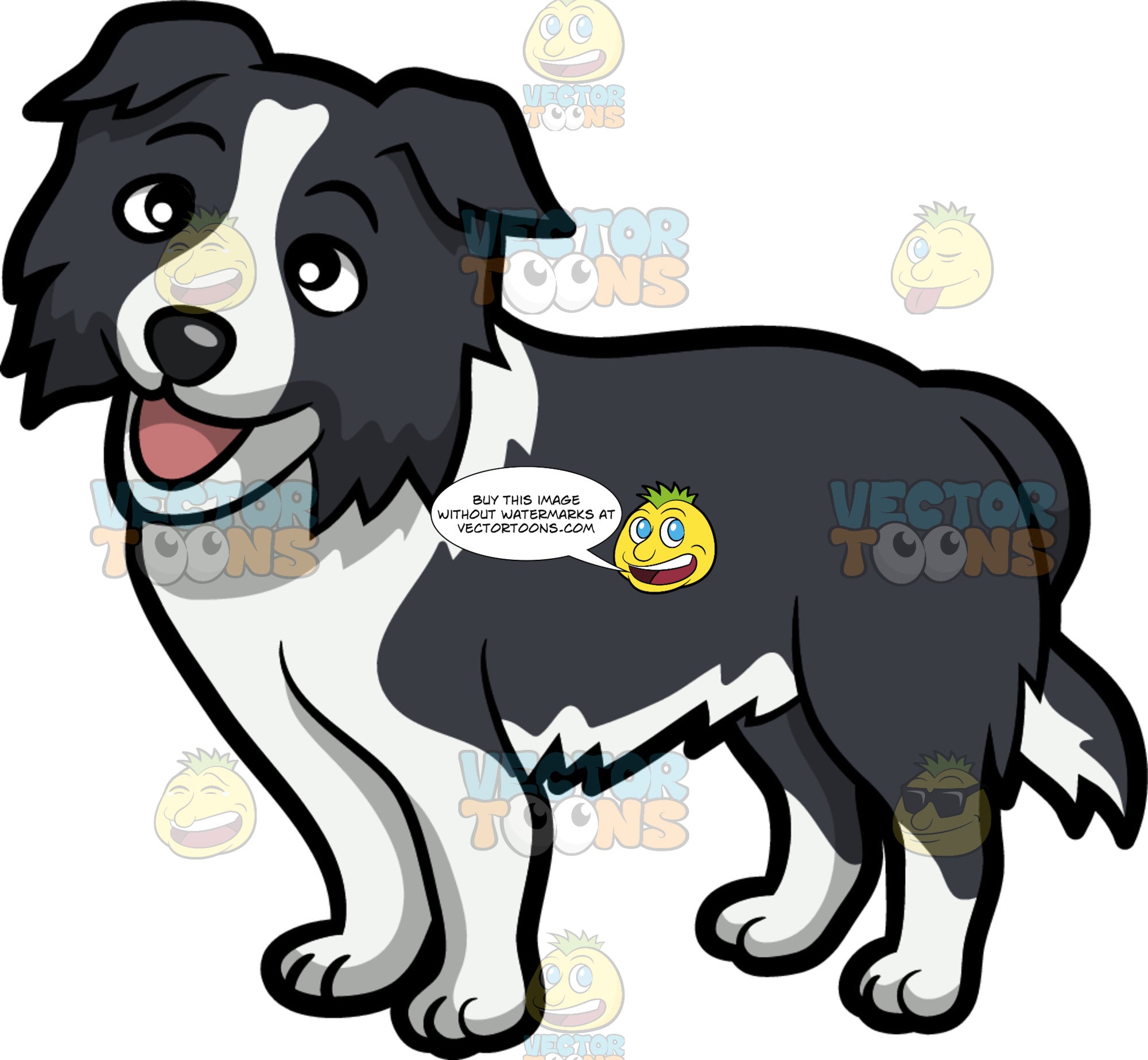 Border Collie Cartoon Images