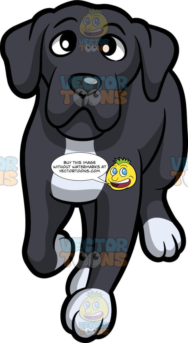 An Attentive Boxer Dog – Clipart Cartoons By VectorToons